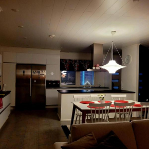 Villa Venni, Rovaniemi